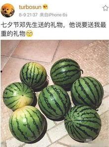 七夕吃瓜网,揭秘七夕节背后的甜蜜秘密与趣味故事